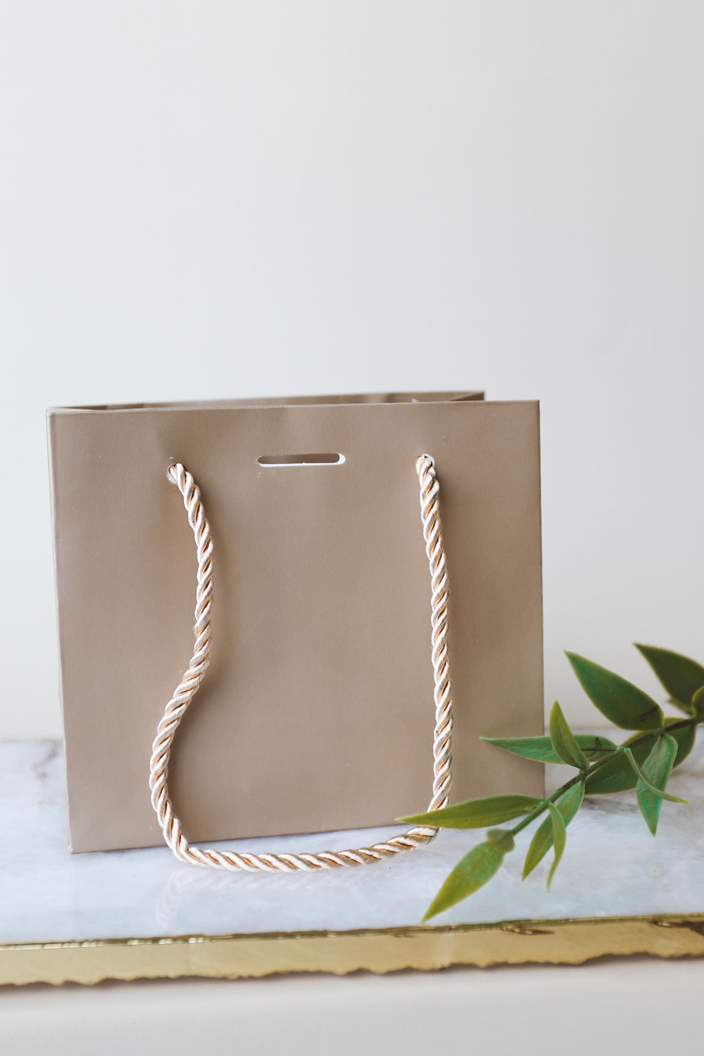 Extra Paper Gift Bag