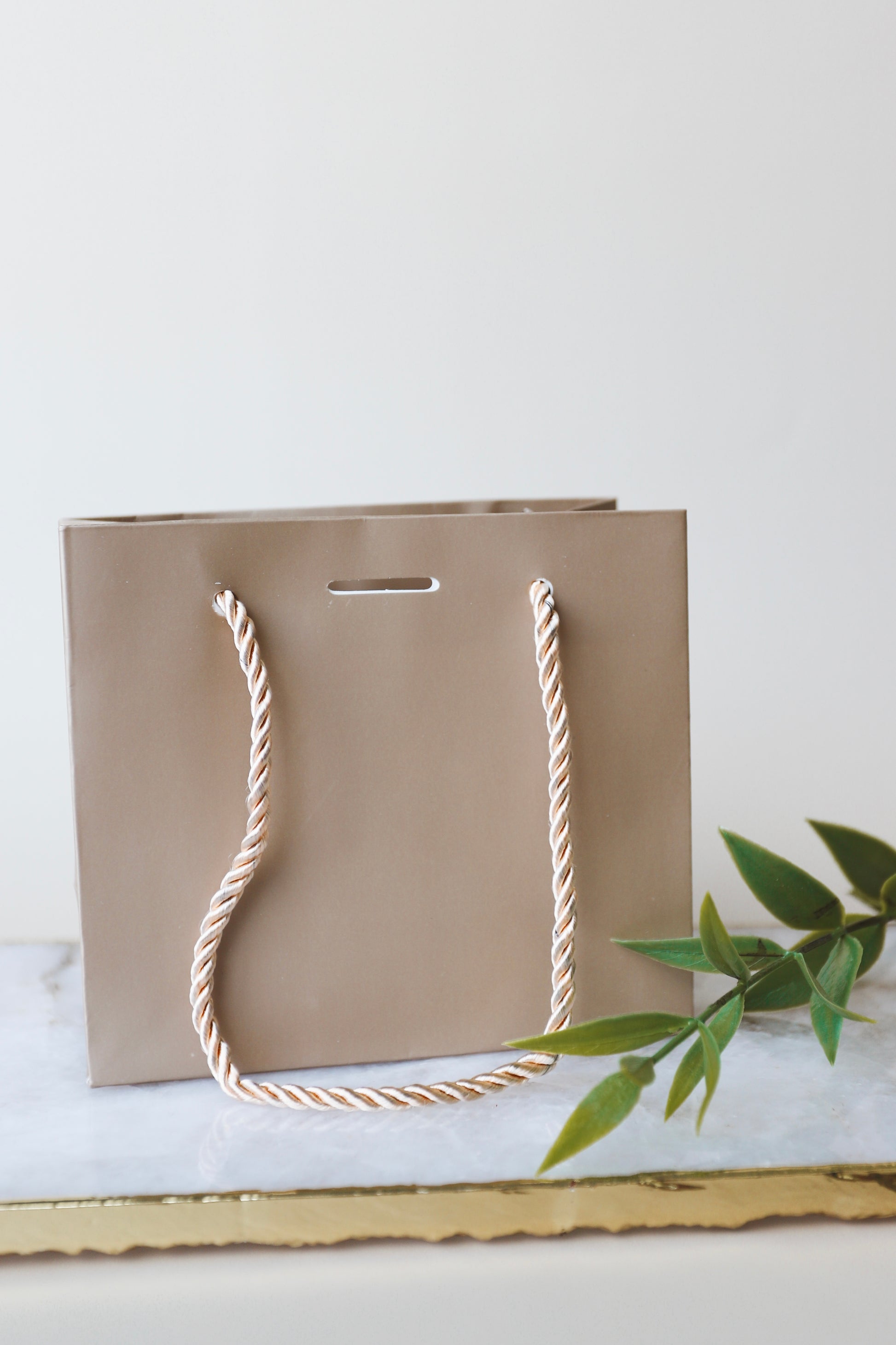 Extra Paper Gift Bag