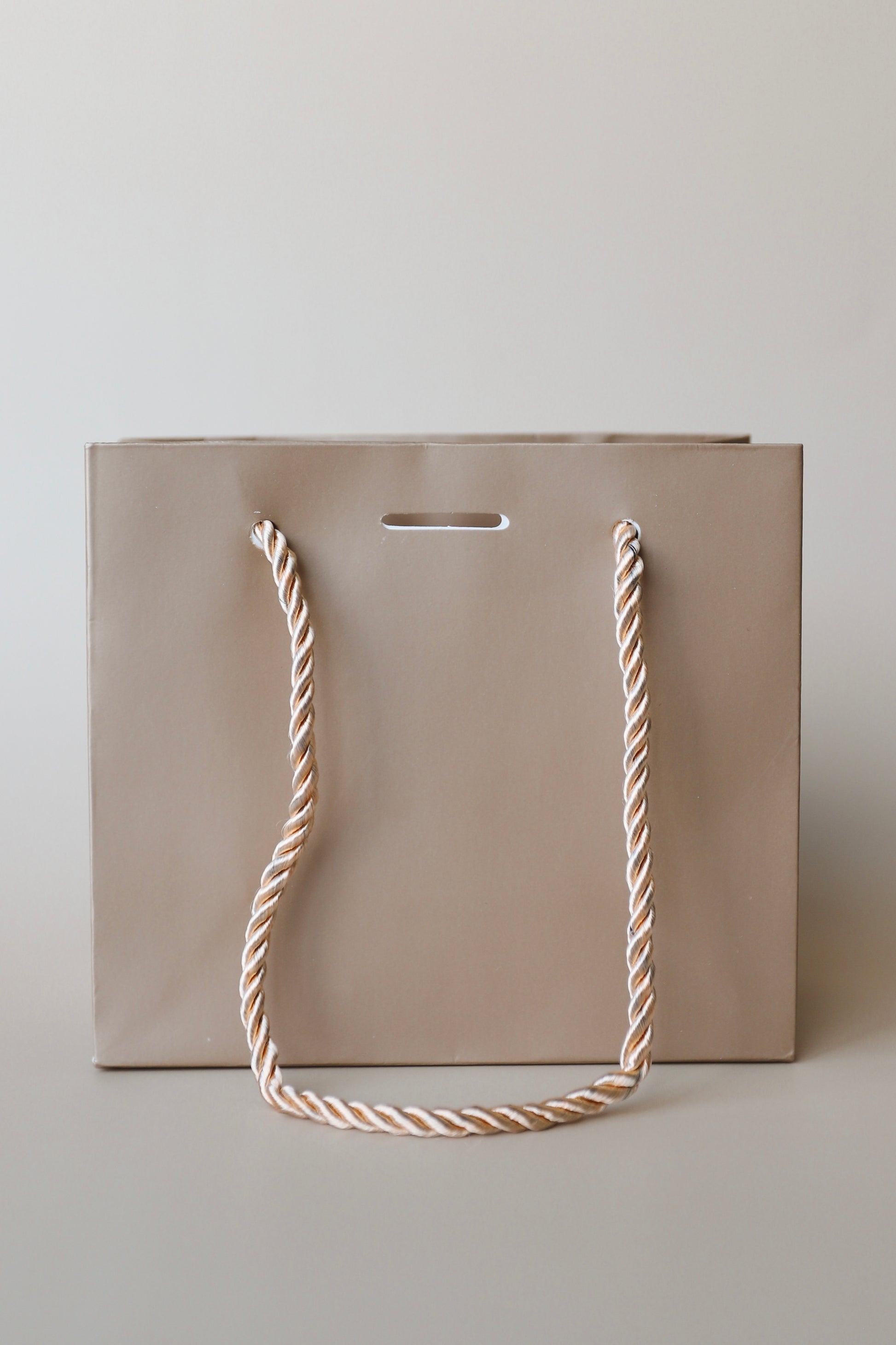 Extra Paper Gift Bag